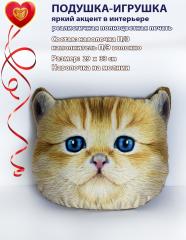 подушка рельефная с фотопечатью Рыжий котенок